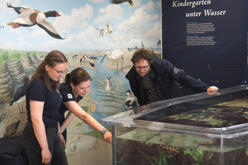Umweltminister Jan Philipp Albrecht betrachtet, die von Freiwilligen gezeigten Aquarienbewohner 