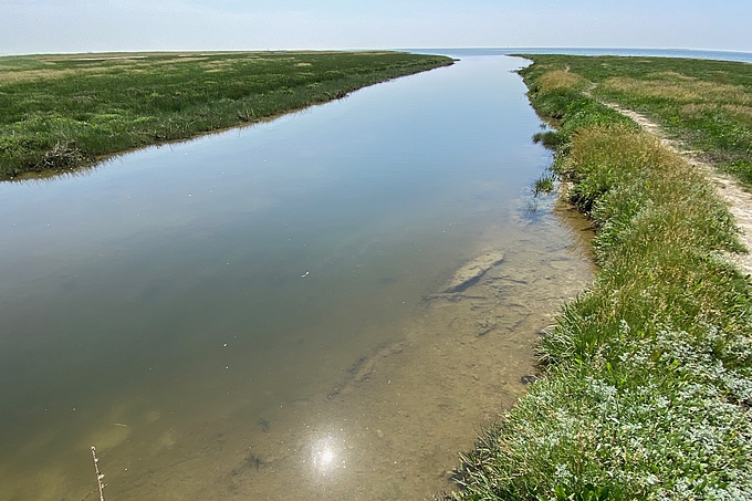 Sonnenspiegelung in flachem Wasser