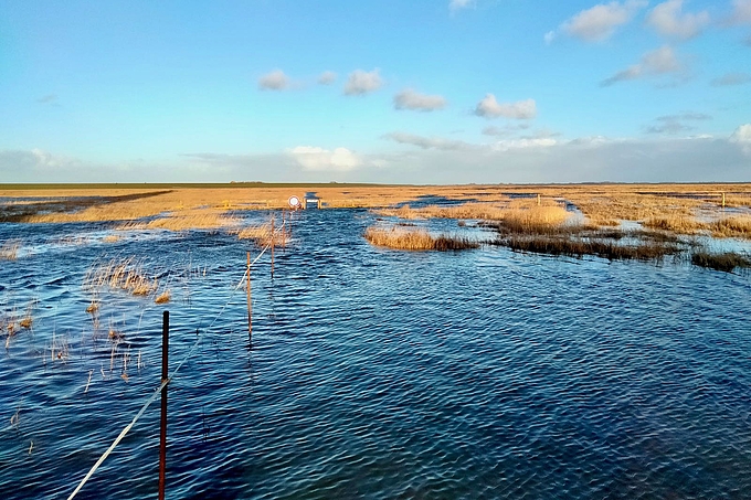 Überflutete Wege vor Westerhever