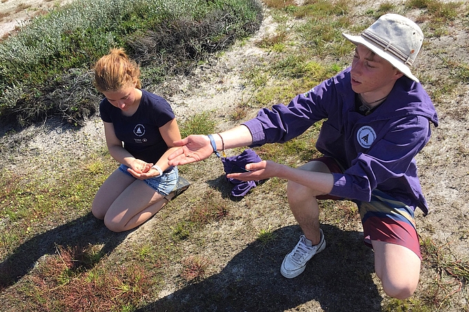 Vorsichtige Suche nach kleinen Amphibien