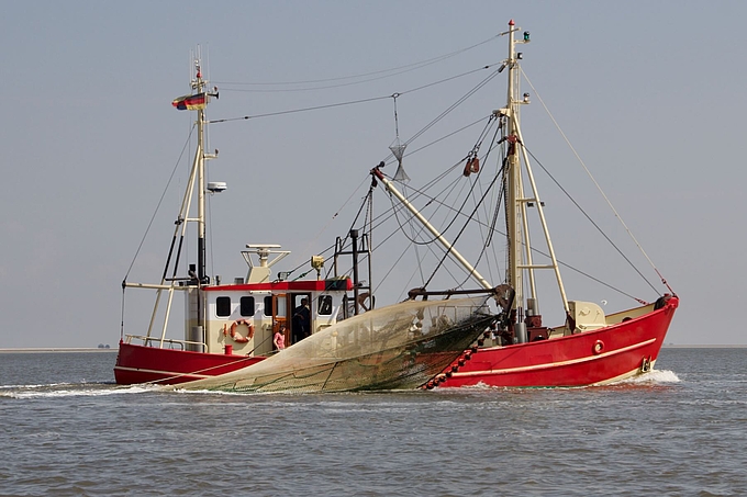 Kutter mit Hallig Norderoog im Hintergrund