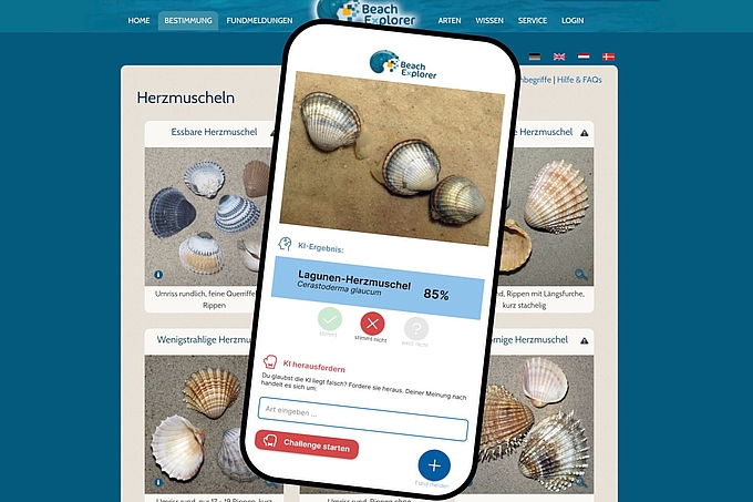 Collage: Explorer auf Handy und Webseite Collage: Explorer auf Handy und Webseite