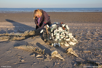 Frau an Rest von Fischernetz mit Skeletten von Schweinswalen