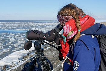 Vogelzählerin blickt auf das Eis vor Hallig Hooge