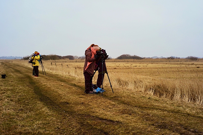 Vier Zählerinnen an einer Wiese auf Sylt