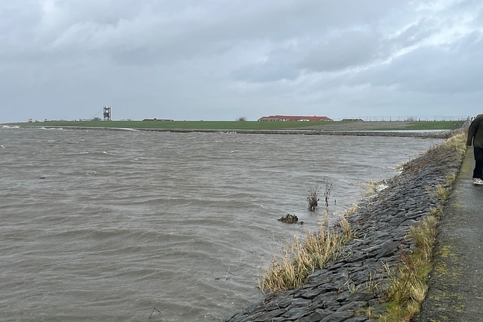 Blick vom Trischendamm zum Deich