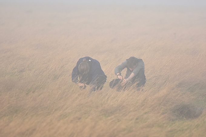 Zwei Fotografen tief in der Salzwiese hockend