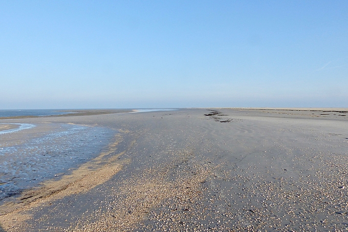 Sandstrand am Japsand