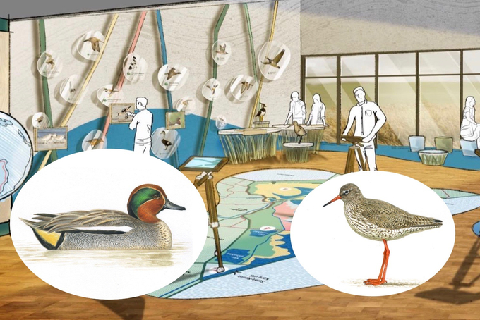 Collage: Blick in die Ausstellung mit Vogelgrafiken