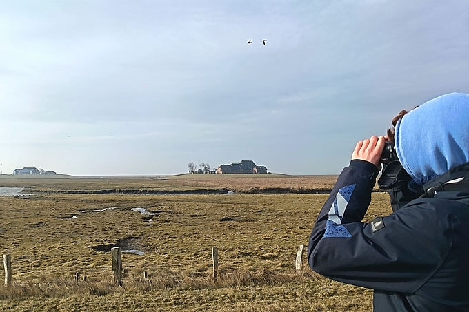 Vogelbeobachter sieht durch Fernglas Vogelbeobachter sieht durch Fernglas