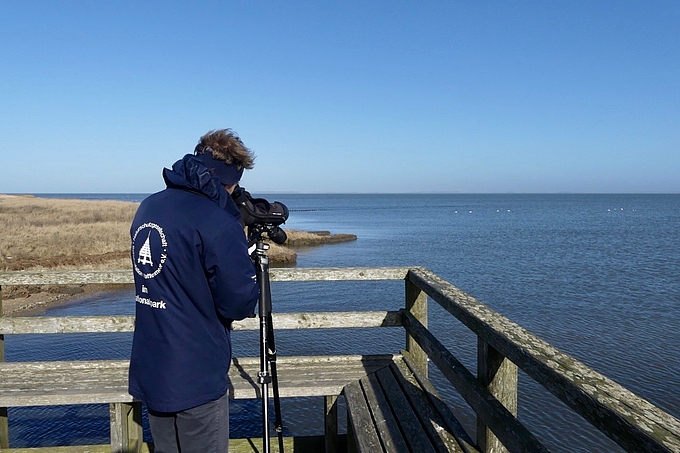 Vogelzähler auf Amrum