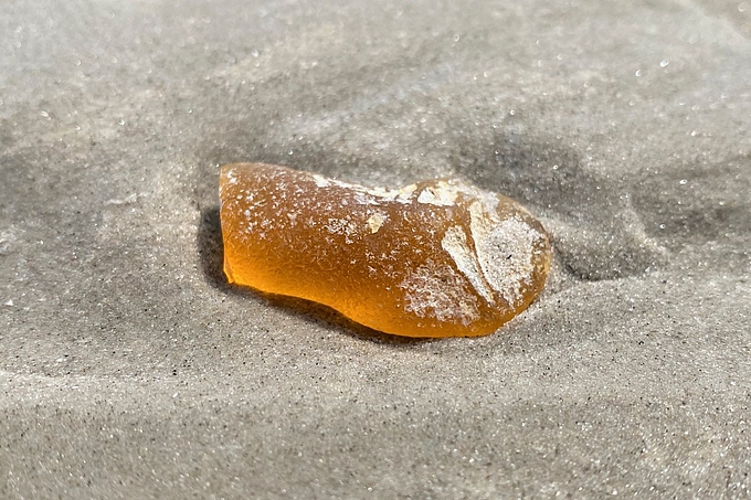Kopal auf dem Watt