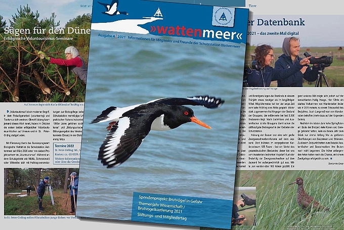 Titelseite "Wattenmeer" 2021 Nr. 4