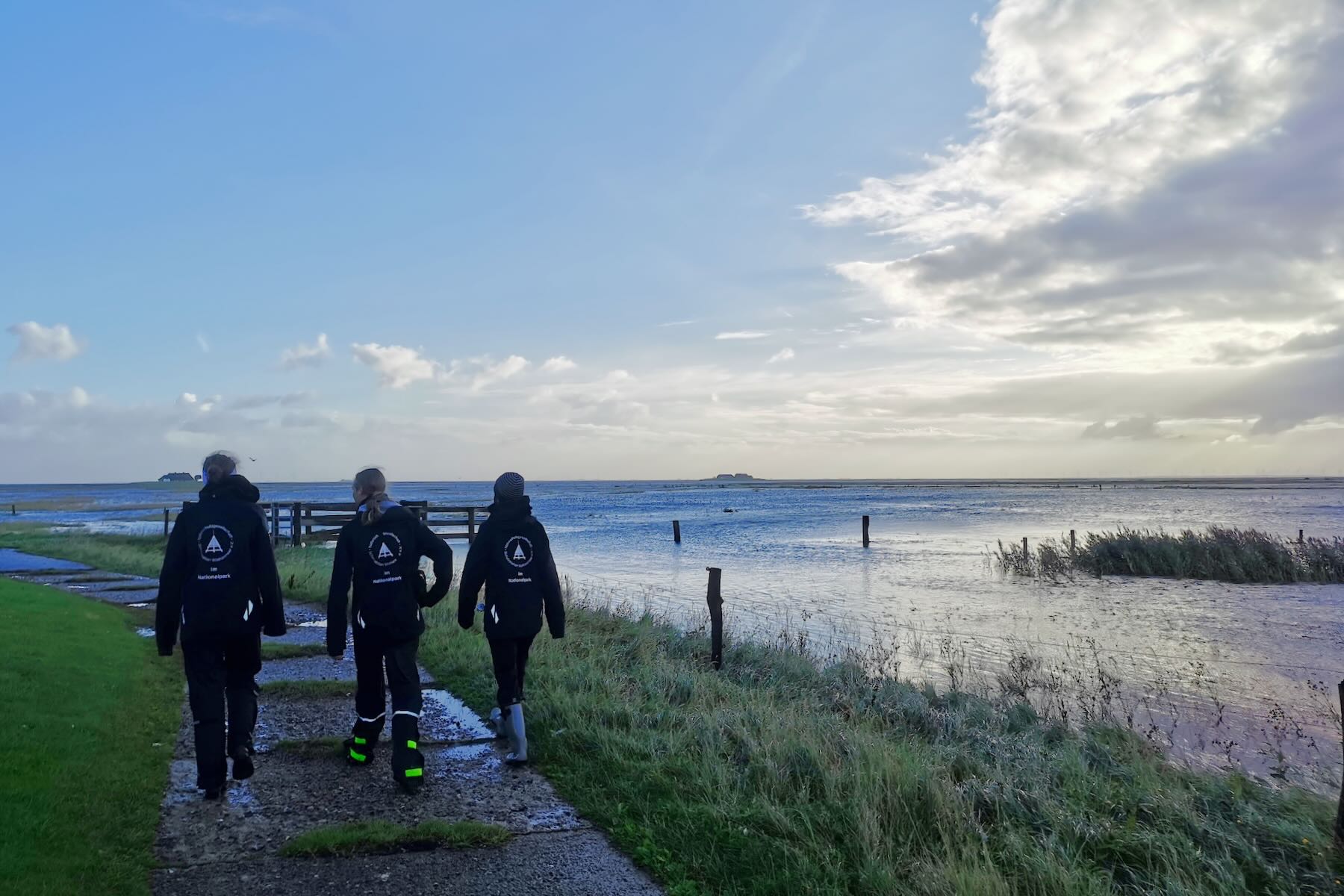 Freiwillige blicken über die Hallig