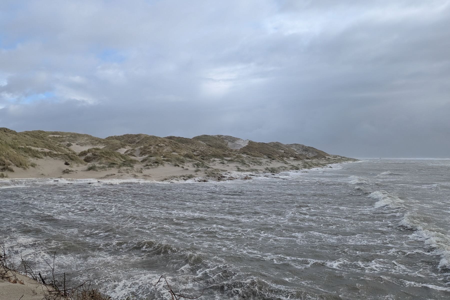 Hoher Wellengang vor Nebel