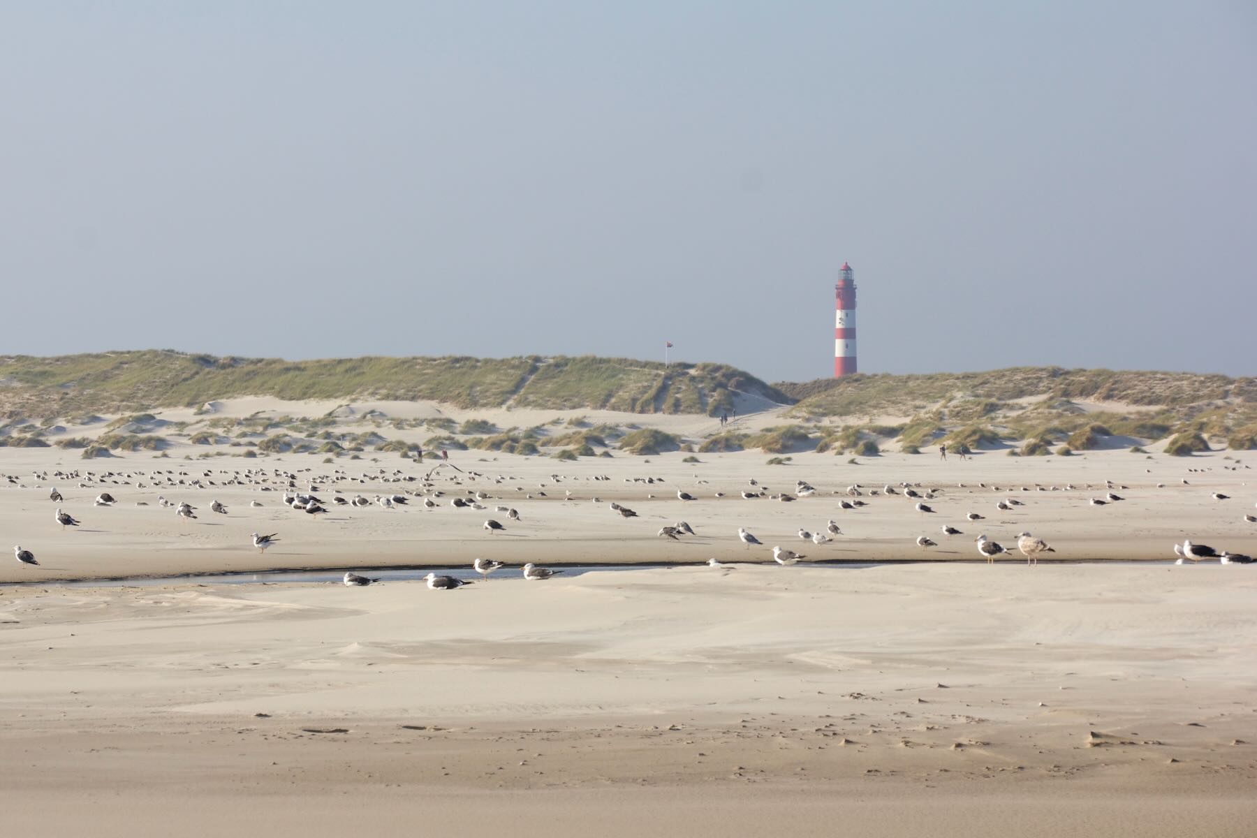 Blick vom Kniepsand zum Leuchtturm
