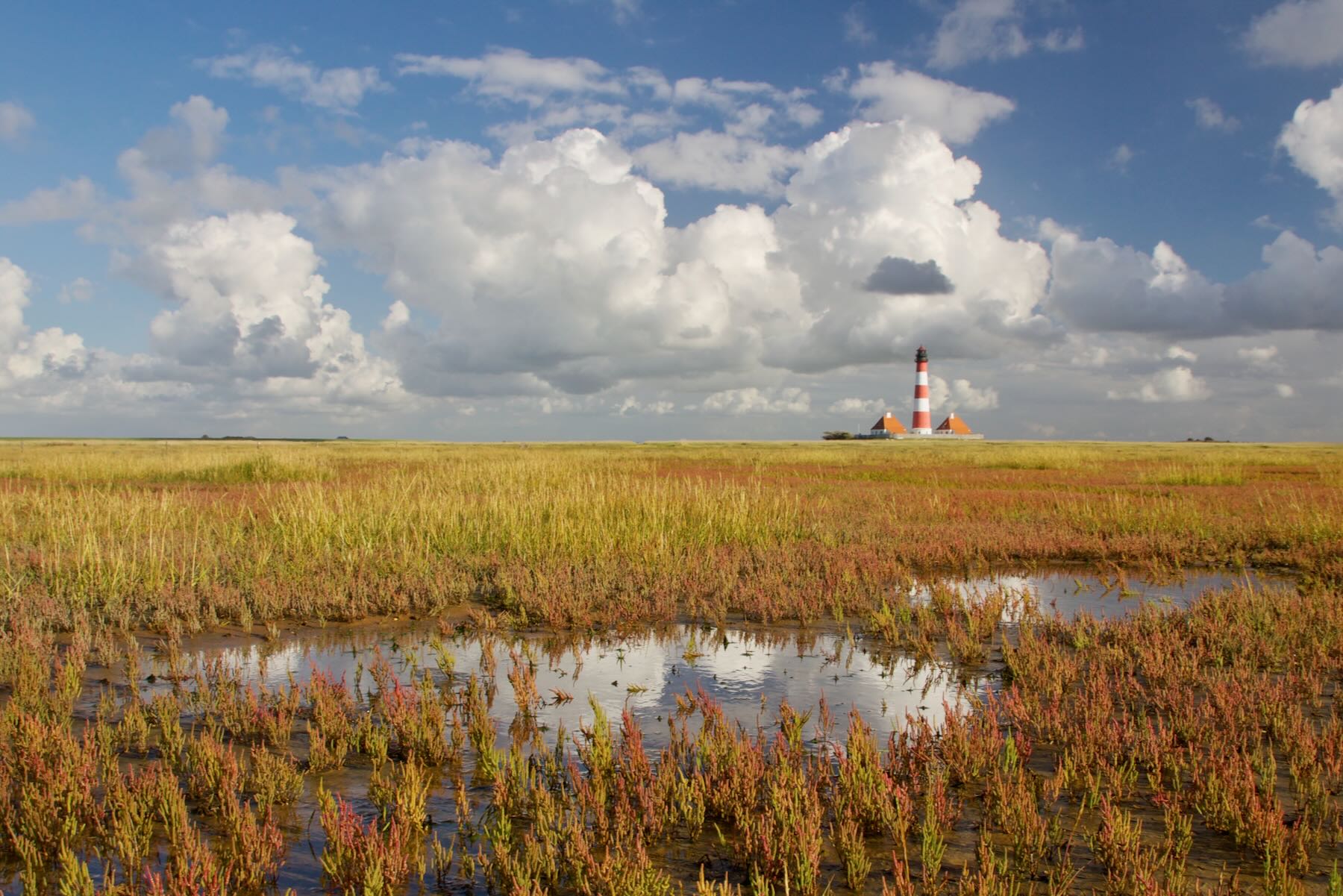 Herbstfarben vor Westerhever