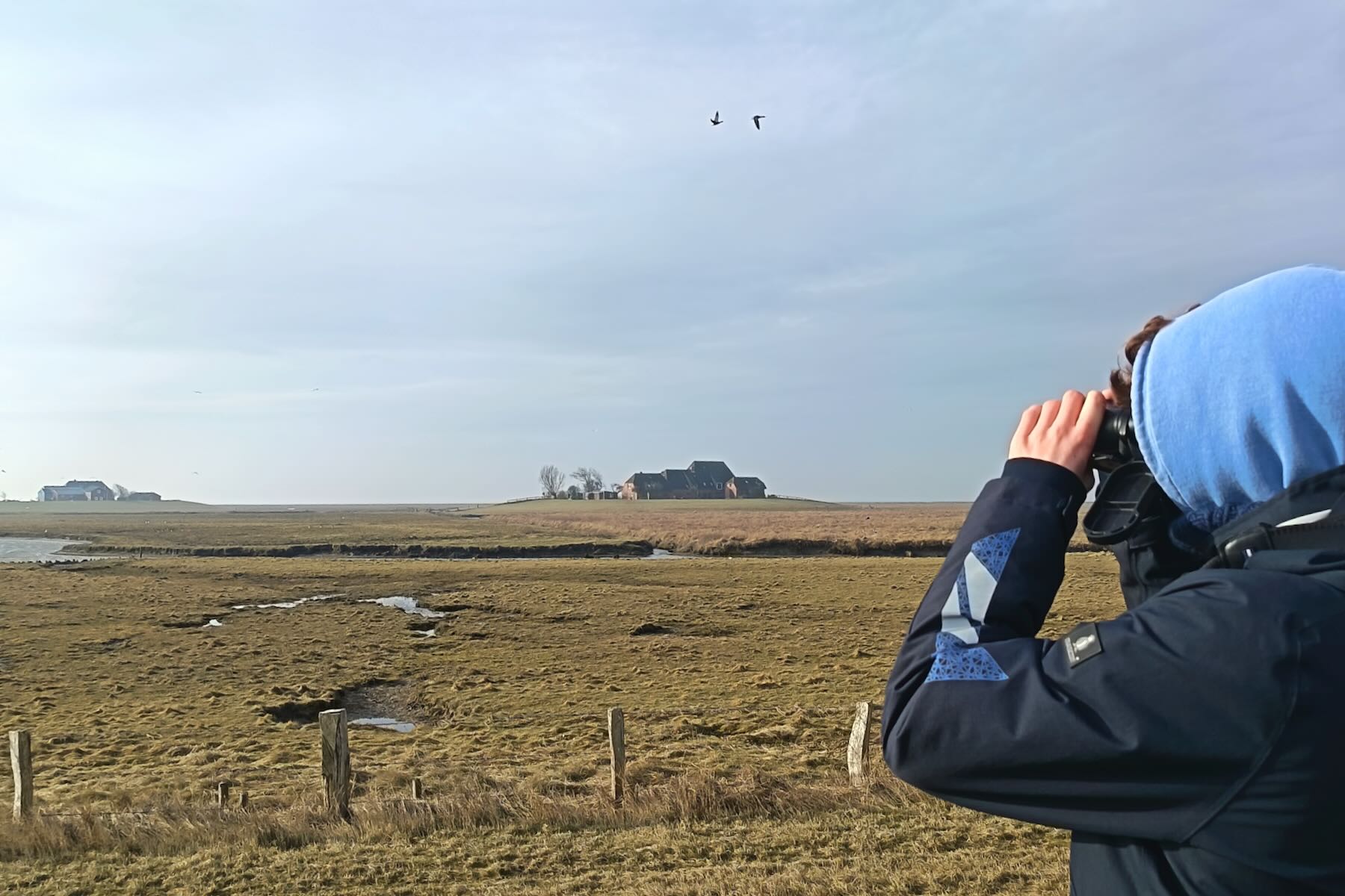 Vogelbeobachter sieht durch Fernglas