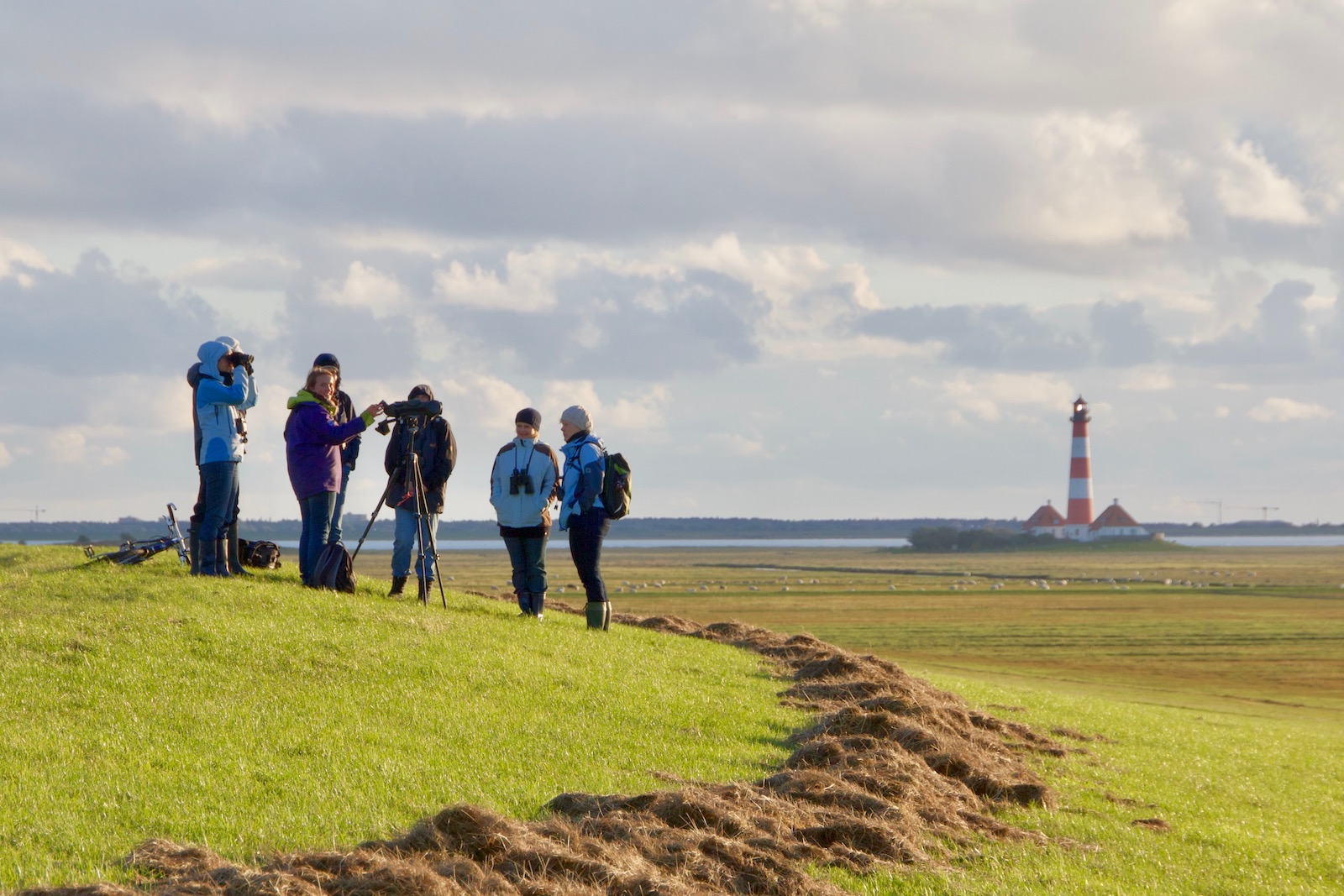 Beobachtergruppe am Deich vor Westerhever