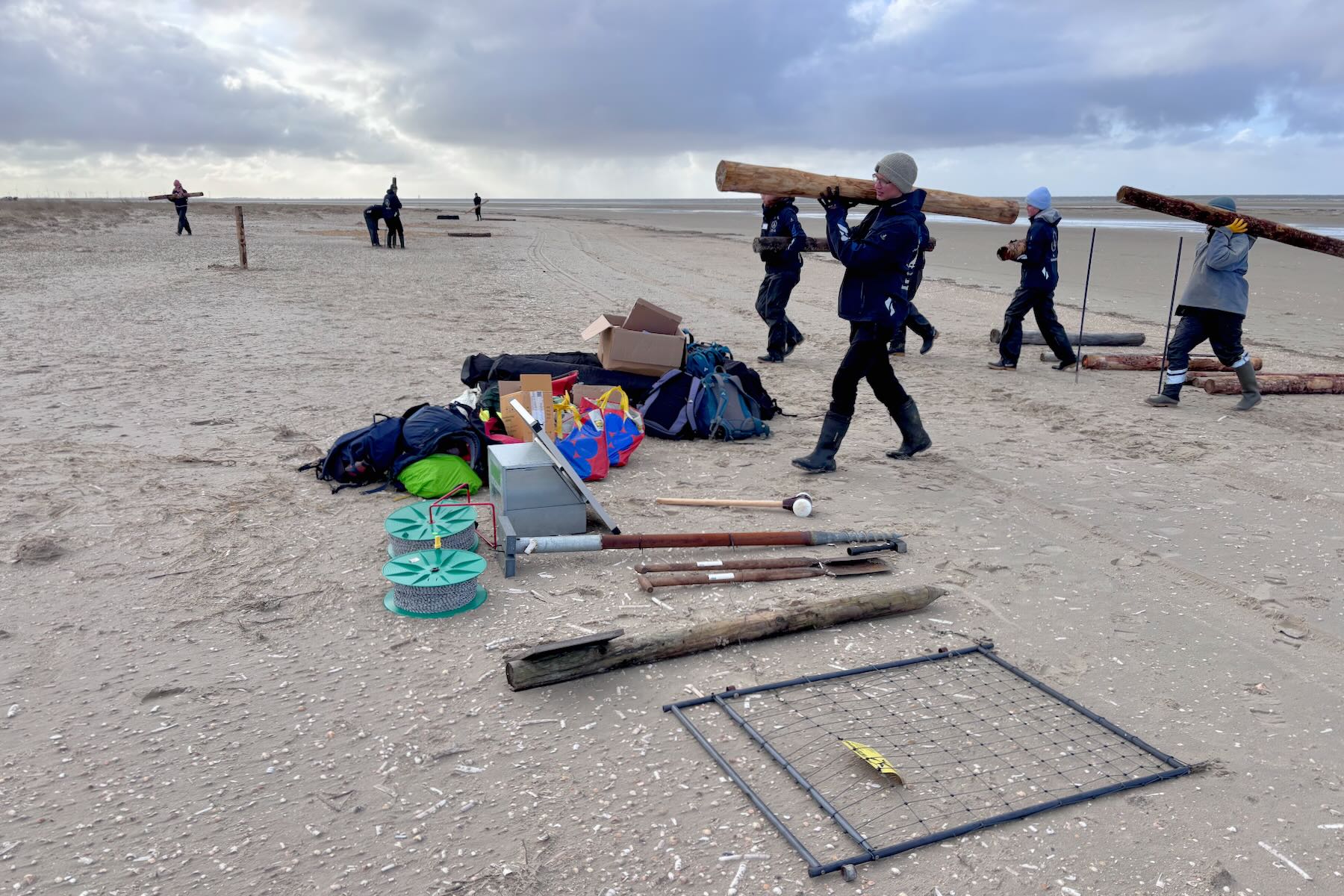 Freiwillige schleppen Pfähle