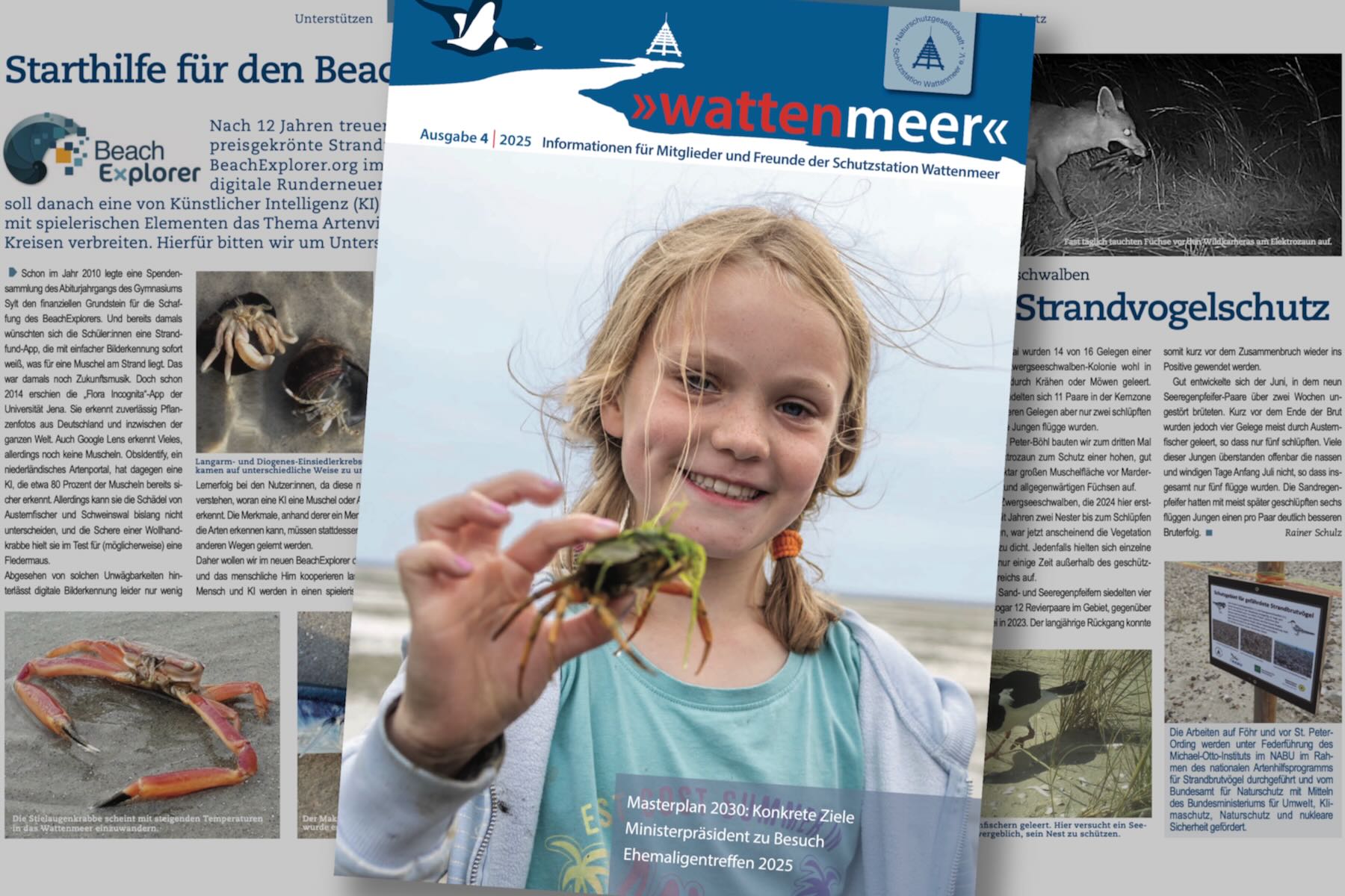 Collage von Titel- und Innenseiten Collage von Titel- und Innenseiten